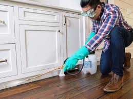 Best Real Estate Pest Inspections  in Dranesville, VA